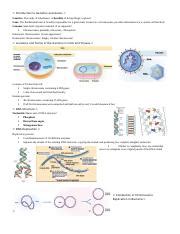 CH 8 Microbial Genetics And Genetic Engineering Docx Introduction