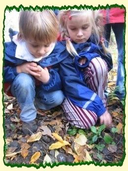 Galerie Natur Erleben Mit Allen Sinnen F R Kinder Und Erwachsene