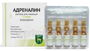 АДРЕНАЛИН 0,001/МЛ 1МЛ N5 АМП Р-Р Д/ИН - цена 87 руб., купить в ...