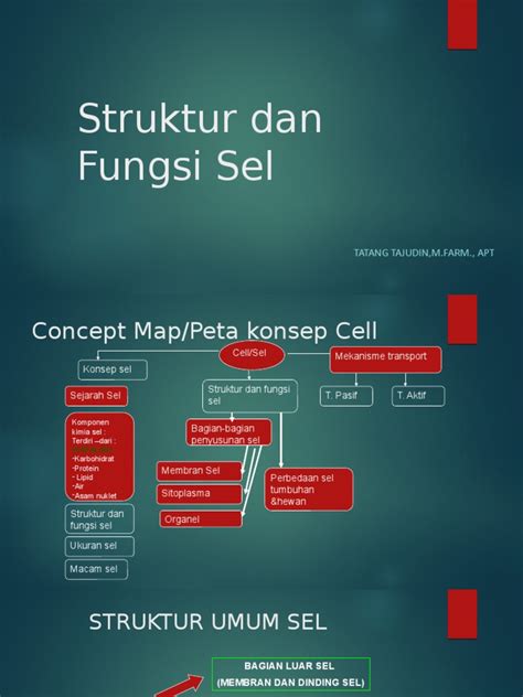 Struktur Dan Fungsi Sel Pdf