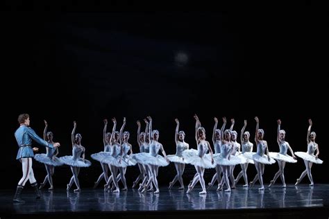 Australian Ballet – Swan Lake – Melbourne – DanceTabs