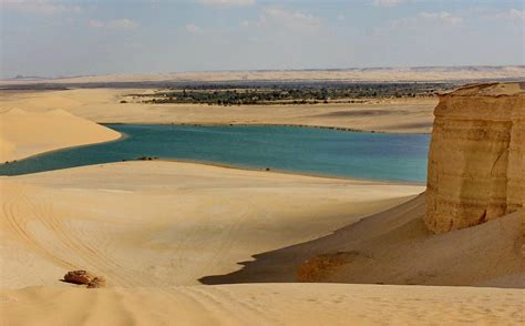 Valley Of The Whales Tour Wadi El Hitan Deluxe Travel Egypt