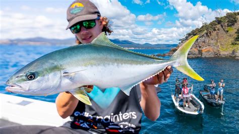 How To Catch Yellowtail Kingfish Topwater Baiting Youtube