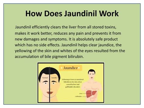 Best Herbal Treatment for Jaundice | PPT