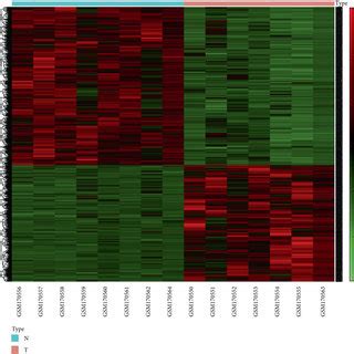 Hierarchical Clustering And Heat Map Analysis Of Differentially