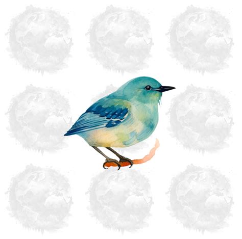 Bird Art Watercolor Bird Clipart Watercolor Birds Bird Clipart