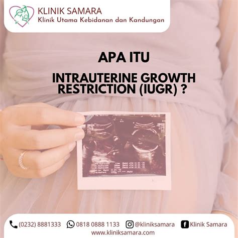 Apa Itu Intrauterine Growth Restriction Iugr Klinik Samara