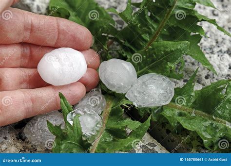 Large Hailstones on the Hand of a Woman in a Storm Stock Image - Image ...