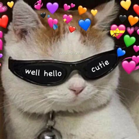 √ Cat Reaction Meme Wholesome Cat Heart Meme Recommendation - News Designfup