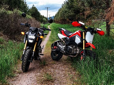 The Honda Grom Is An Honorary Supermoto — Dirt Legal Atelier Yuwaciaojp