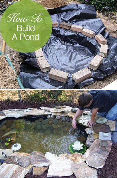 How To Build A Pond Easily Cheaply And Beautifully • The Garden Glove