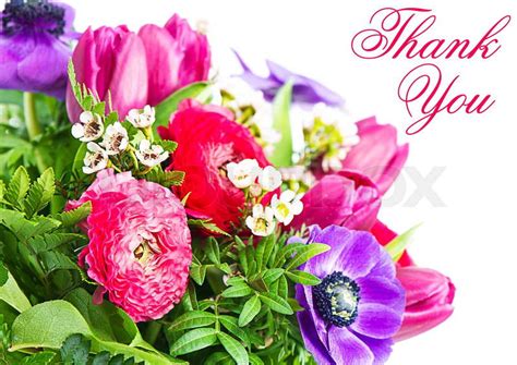 Thank You Colorful Flowers Bouquet Stock Photo Colourbox