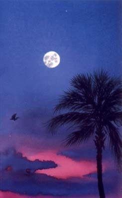 Steven Jordan Art — Palmetto Moon