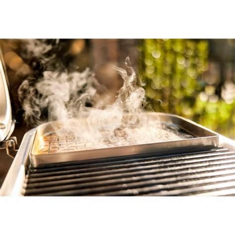 Weber Lumin Compact Portable Indoor Outdoor Electric Steamer Smoker ...