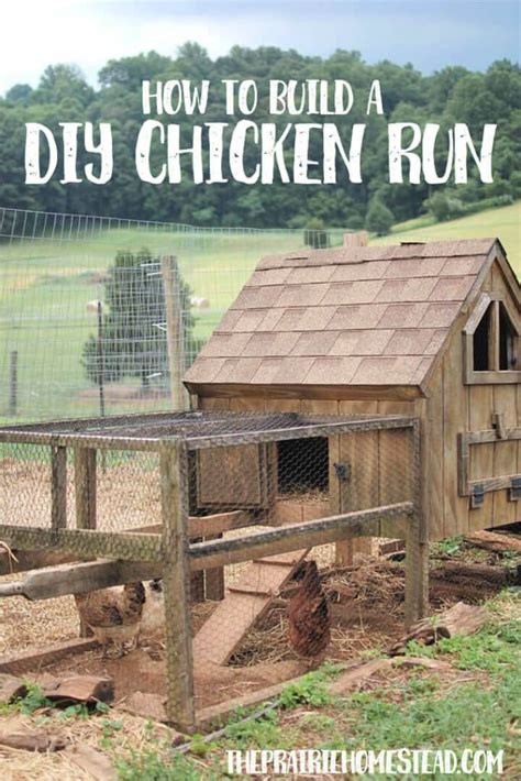 10 Free Chicken Run Plans! Step by Step And Very Detailed - DIY Crafts