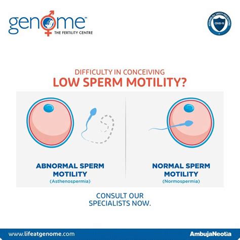 Sperm Motility How To Do Yoga Sperm Sperm Health