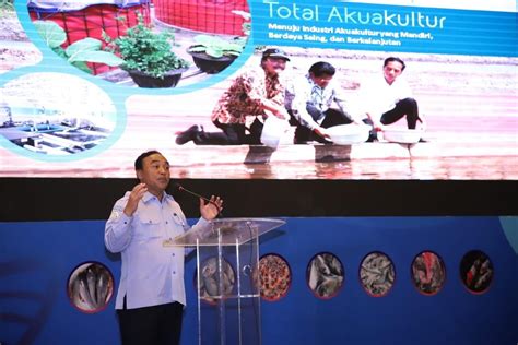 Kkp Gandeng Lombok Timur Bangun Sentra Budi Daya Lobster Nasional