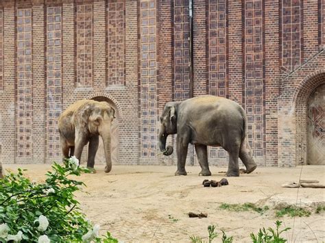 Top 5 things to see and do in Leipzig Zoo