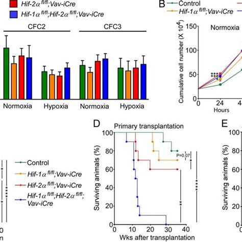 Crispr Cas Mediated Hif Gene Targeting In Human Thp Leukemic