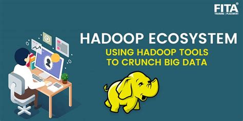 Hadoop Ecosystem Using Hadoop Tools To Crunch Big Data