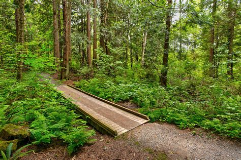 Eaglemont Beaver Pond Trail Description — Mount Vernon Parks Foundation