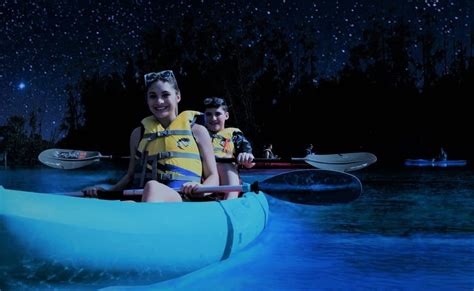 Bioluminescent Kayaking Rafting Florida S Best Bioluminescence Tours