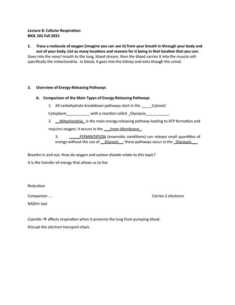 8 Outline Cellular Respiration Lecture 8 Cellular Respiration