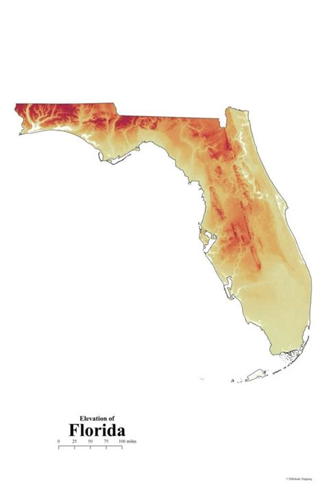 Florida Elevation Map