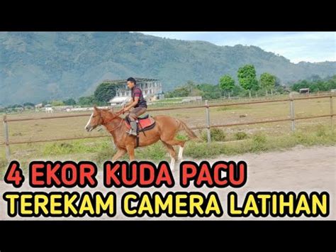 Ekor Kuda Terekam Camera Latihan Di Gelanggang Pacuan Kuda H M Hasan