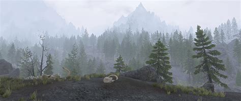 Foggy Day At Skyrim Special Edition Nexus Mods And Community