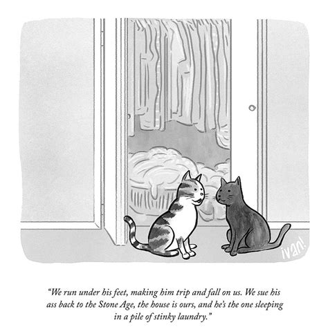 New Yorker Cat Cartoons