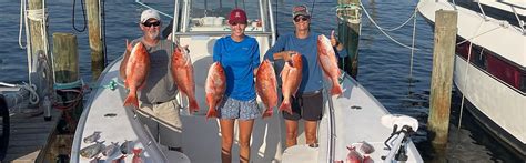 Gulf Shores Charter Fishing Trips Easy Livin Charters