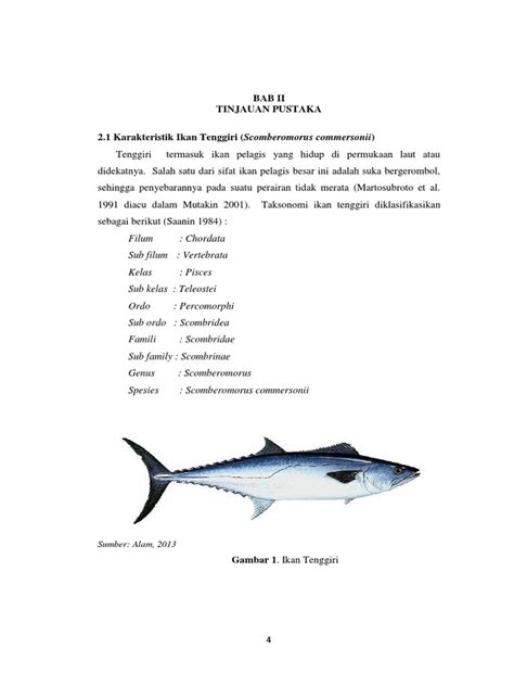 Ikan Tenggiri Pdf