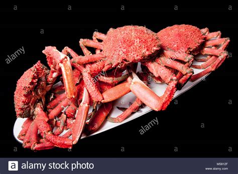 Spider Crabs High Resolution Stock Photography And Images Alamy