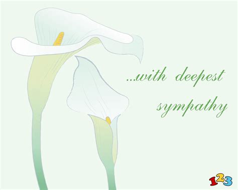 Calla Lilies Sympathy Send Free Ecards From