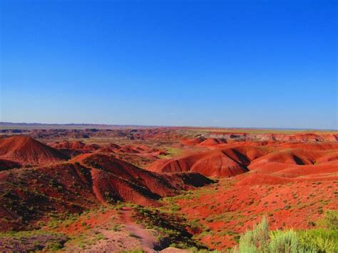 Premium Photo | Painted desert national park