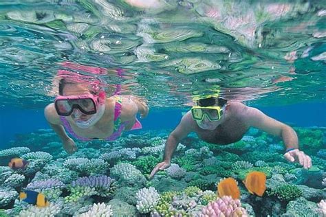 Best Snorkeling Lombok Gili Nanggu Gili Kedis Gili Sudak Day Trip