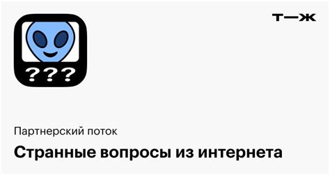 Ответы на популярные вопросы из интернета в Т⁠—⁠Ж