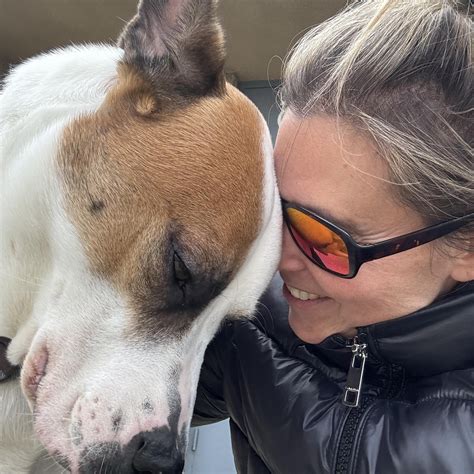 long beach animal emergency 8