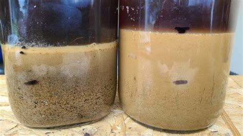 Testing Soil Texture The Mason Jar Test Growit Buildit