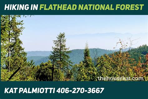 Hiking in Flathead National Forest - July 2021