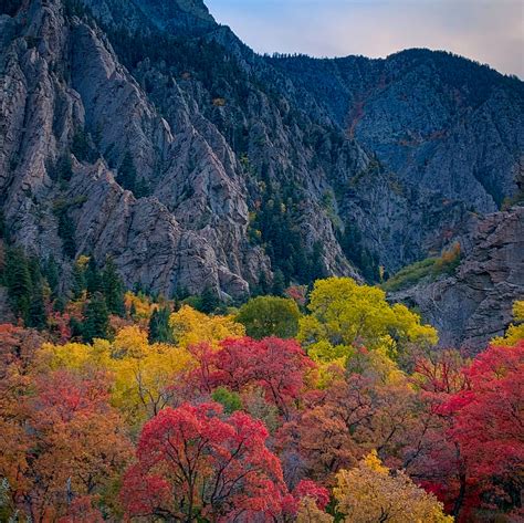 Top Easy Big Cottonwood Canyon Hikes The Minivan Bucket List