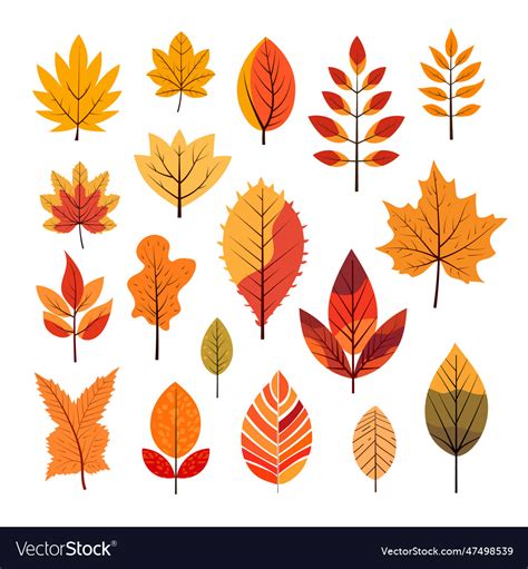 Autumn leaf linear orange yellow leaves Royalty Free Vector