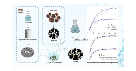 Extraction Of Humic Acids From Lignite And Its Use As A Biochar