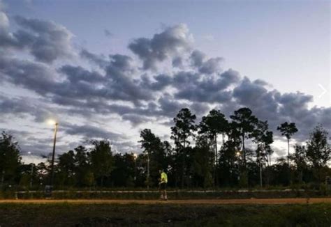 What to expect on the new walking path in Houston’s Memorial Park ...