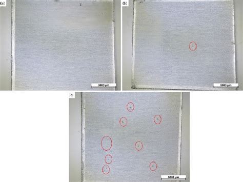 Optical Micrographs Of The Surface Of Sample X A Sample A B And