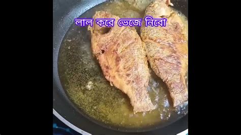 তেলাপিয়া মাছ ভাজি Cooking Food Youtube Everyone Recipe Fish