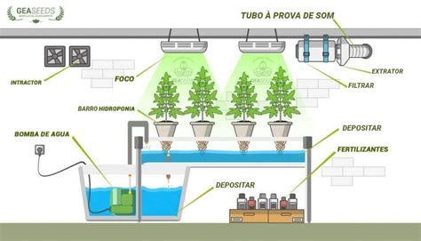 Como montar um cultivo hidropónico guia completo passo a passo