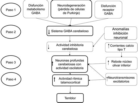 La esencia del temblor esencial bases neuroquímicas Neurología