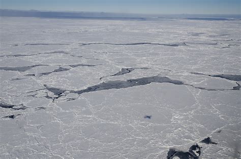 Antarctic Sea Ice Level Could Reach Record Low In 2022 Ucla Climate